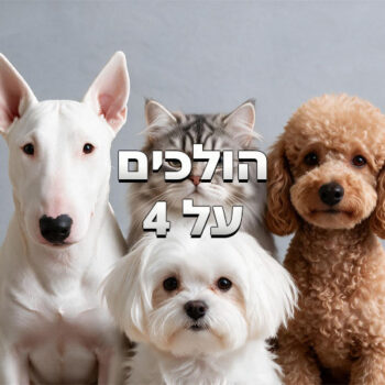 הולכים על ארבע